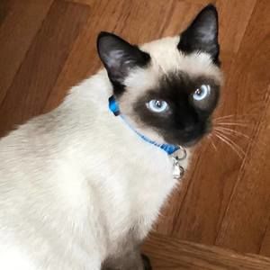 Meet your Posher, Bijoux